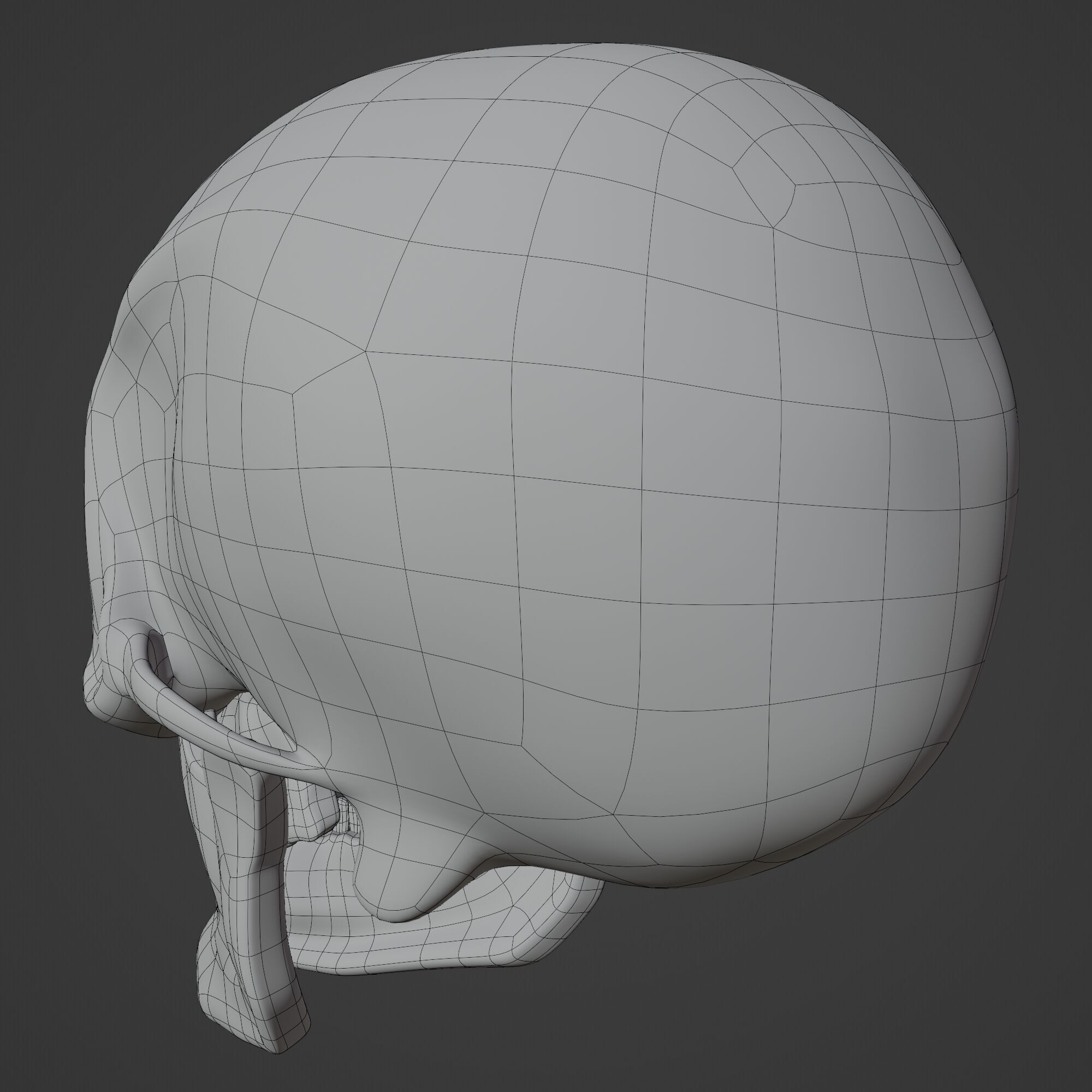 Human Skull 3D model_13