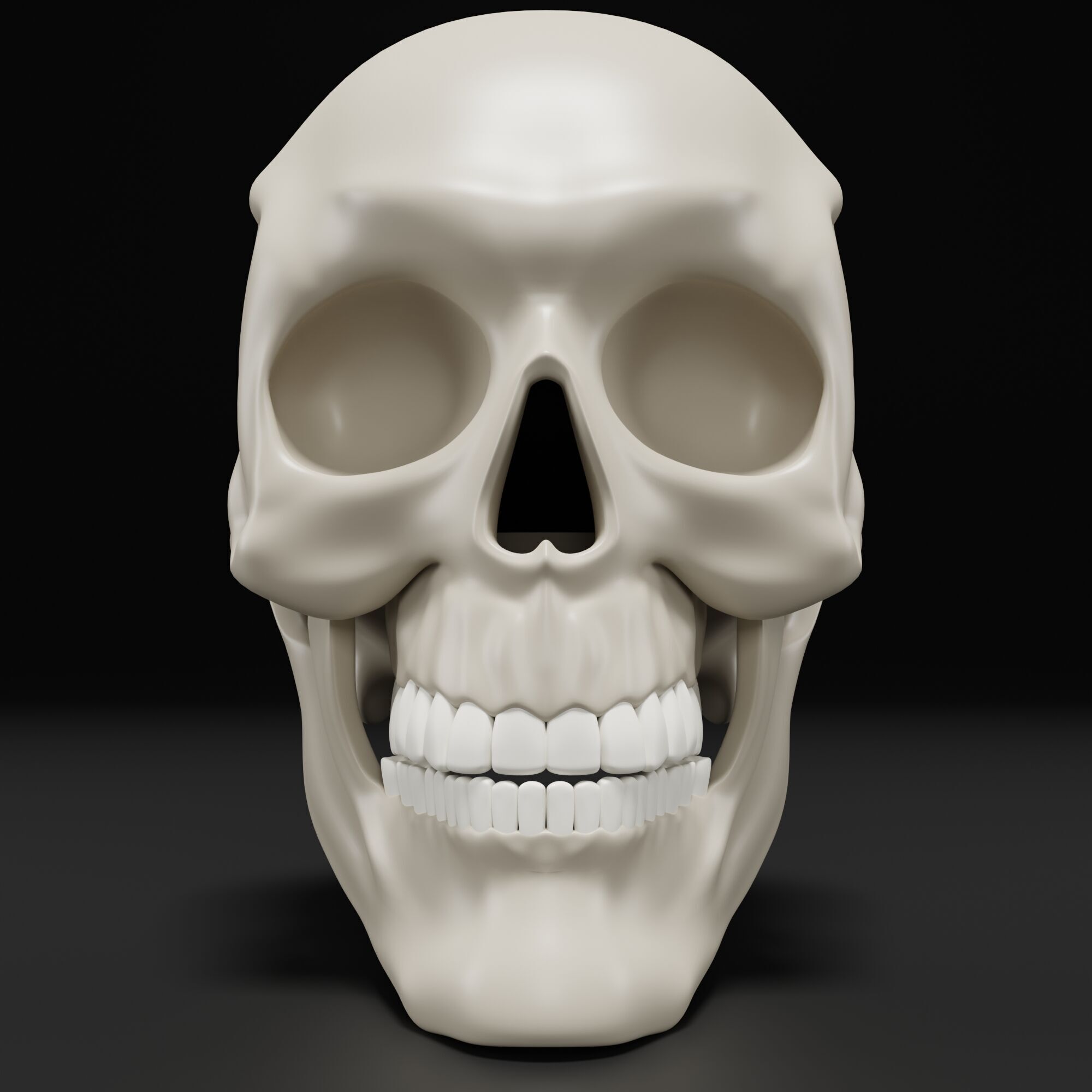 Human Skull 3D model_8