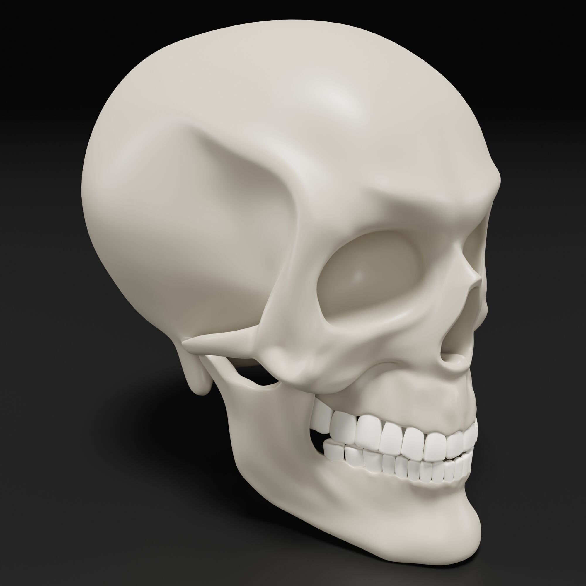 Human Skull 3D model_1