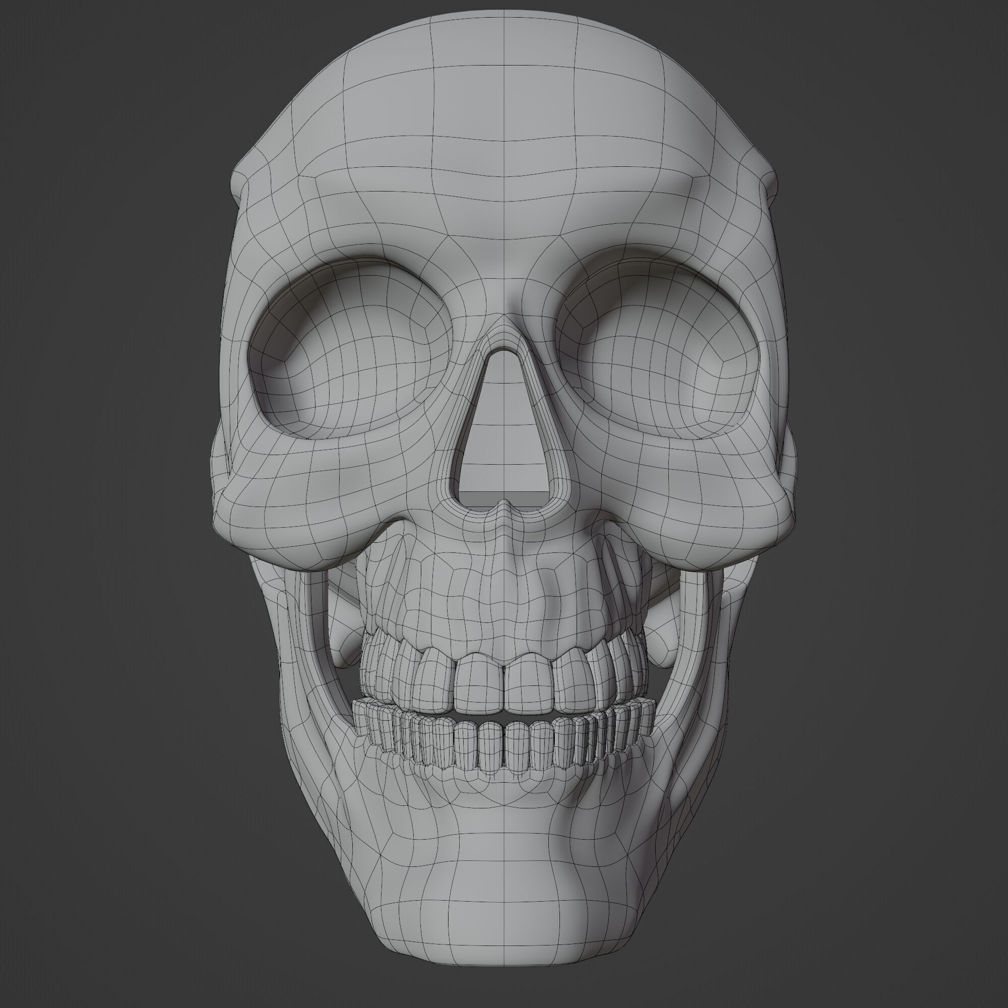 Human Skull 3D model_16