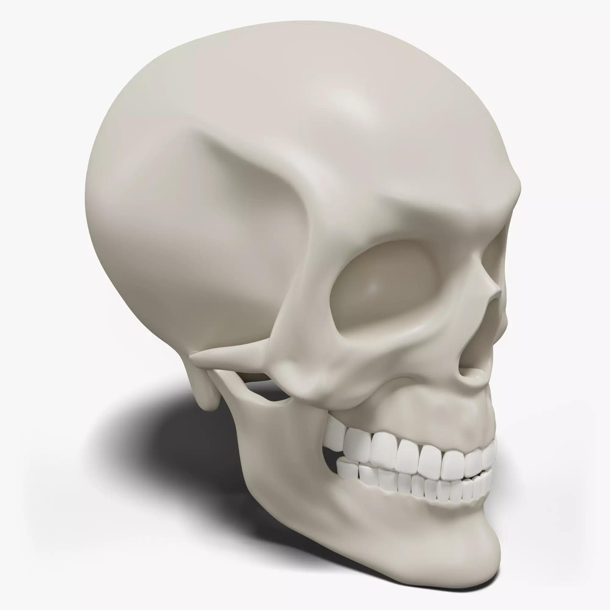 Human Skull 3D model_0