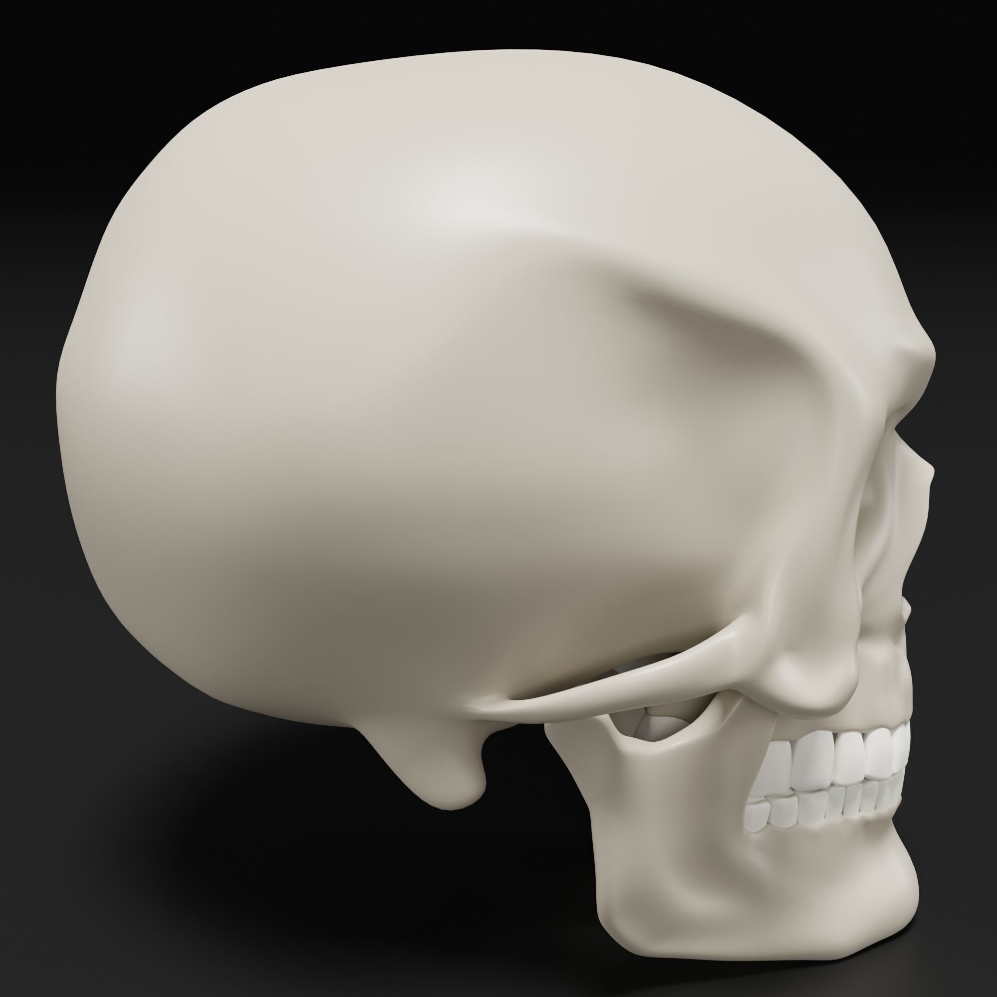 Human Skull 3D model_2