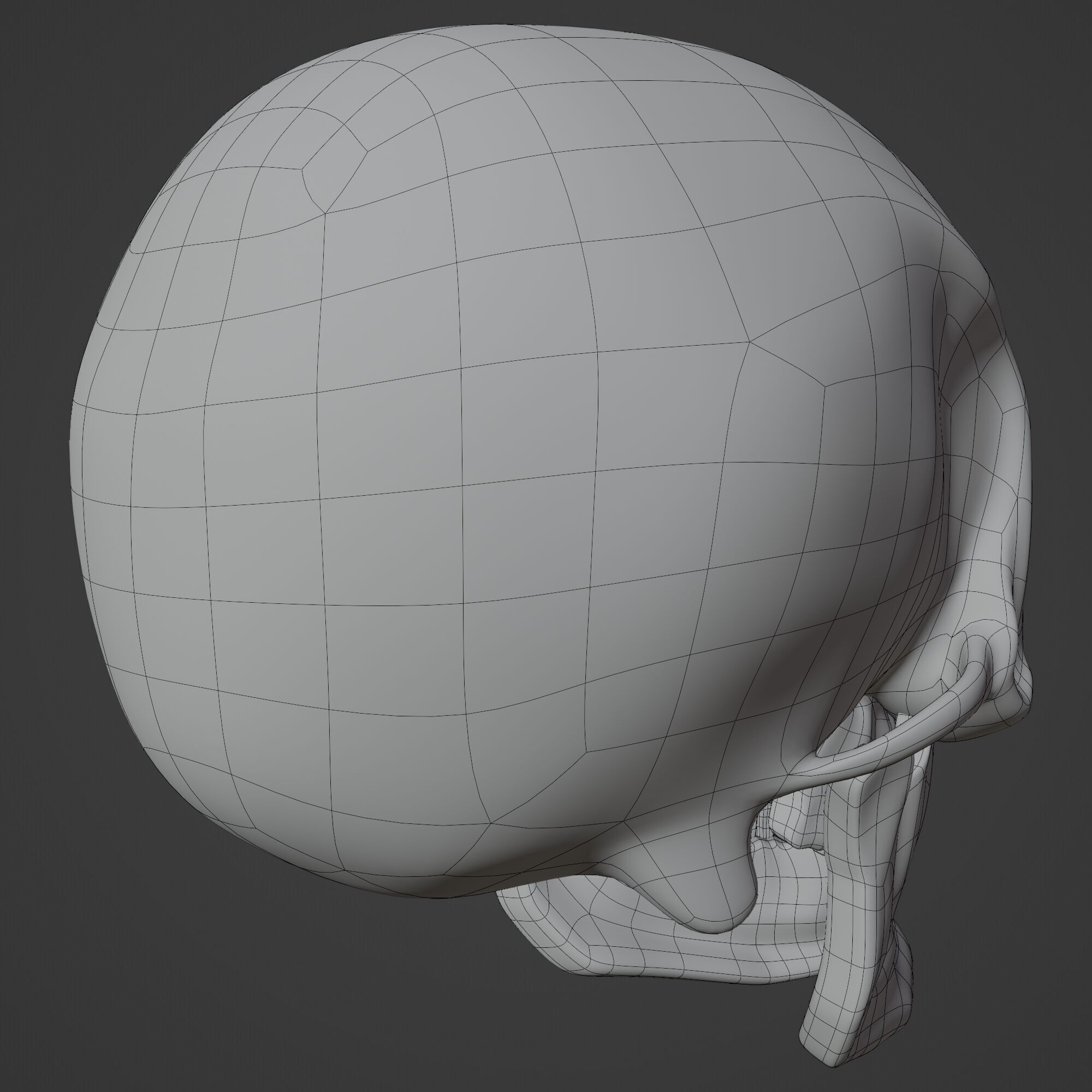 Human Skull 3D model_11