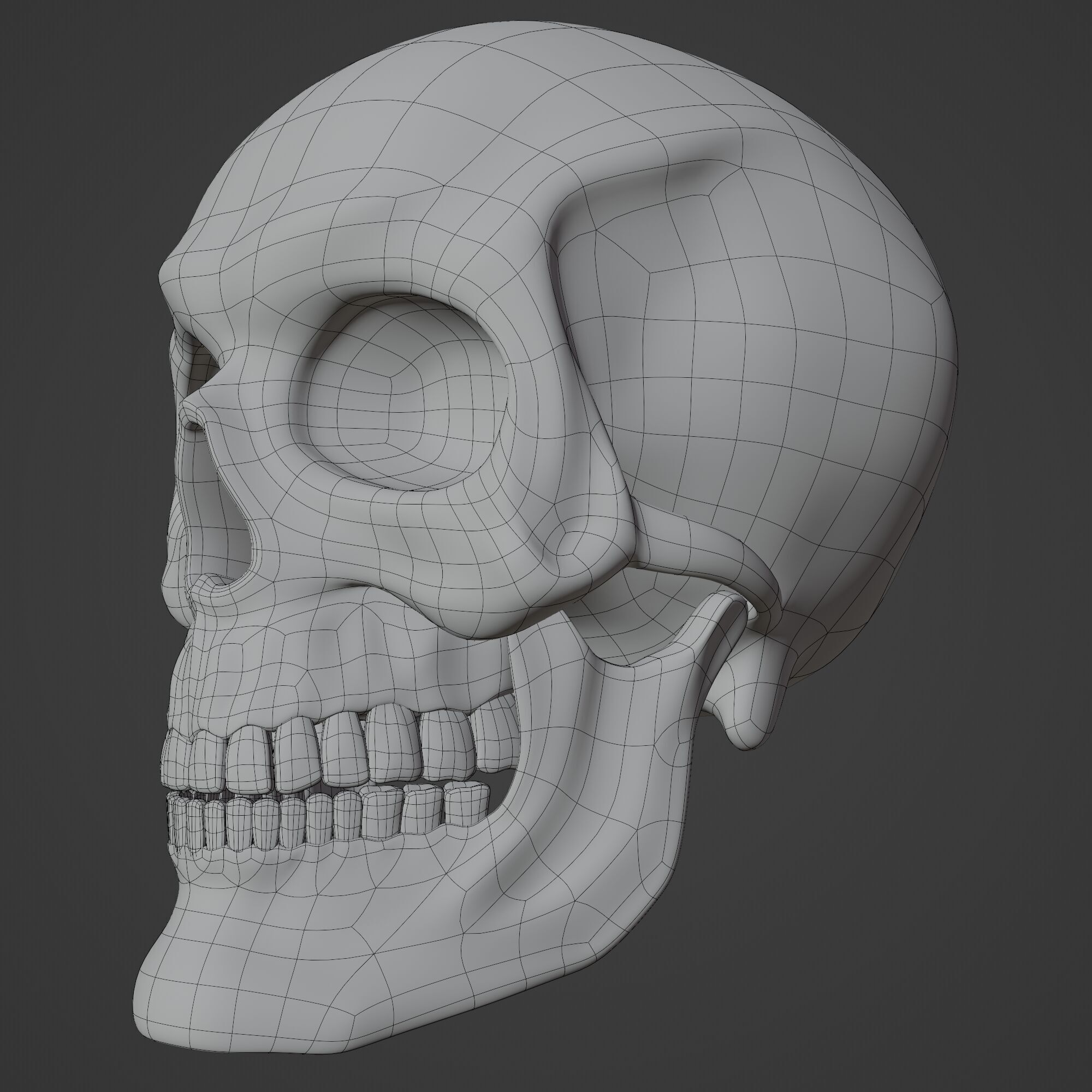 Human Skull 3D model_15