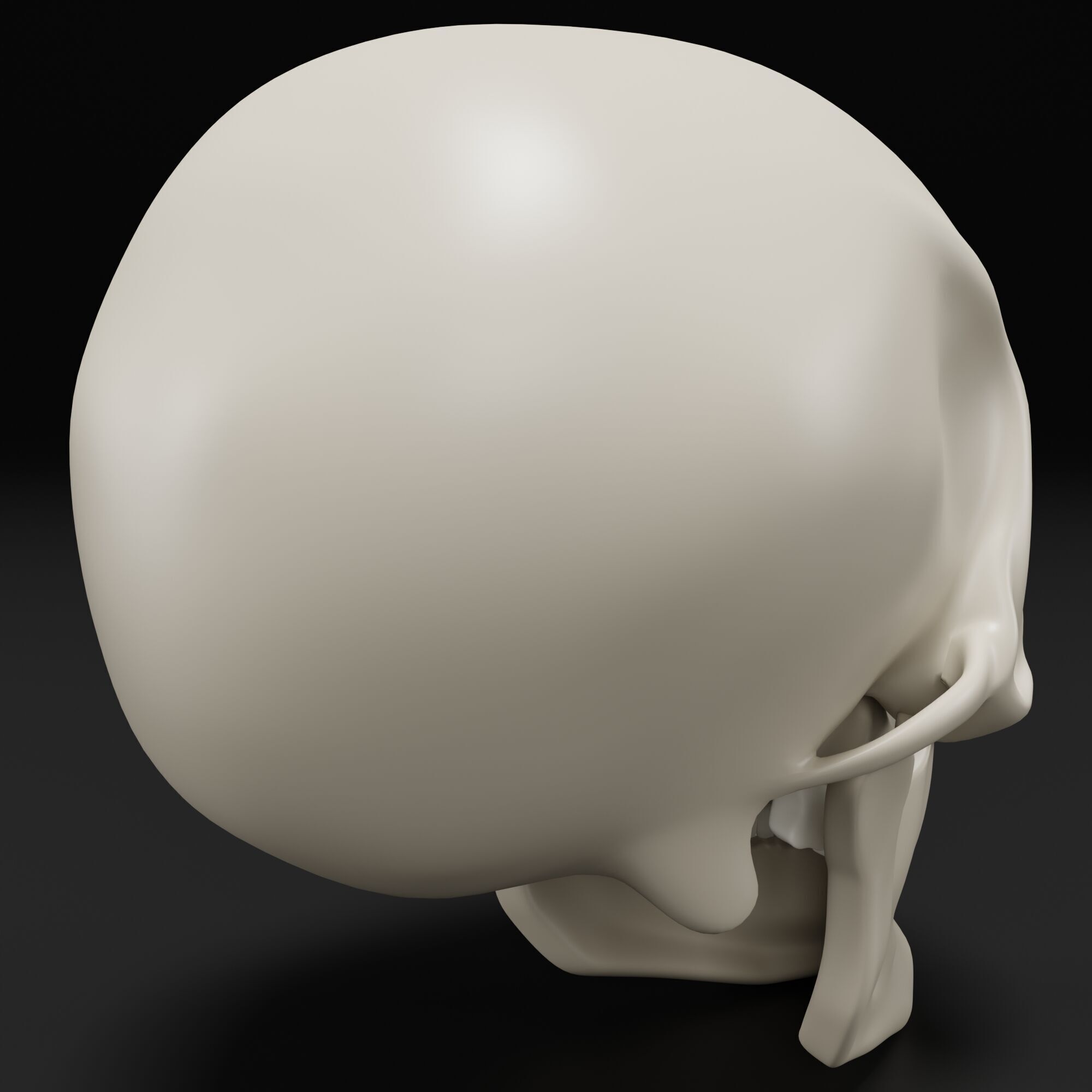 Human Skull 3D model_3