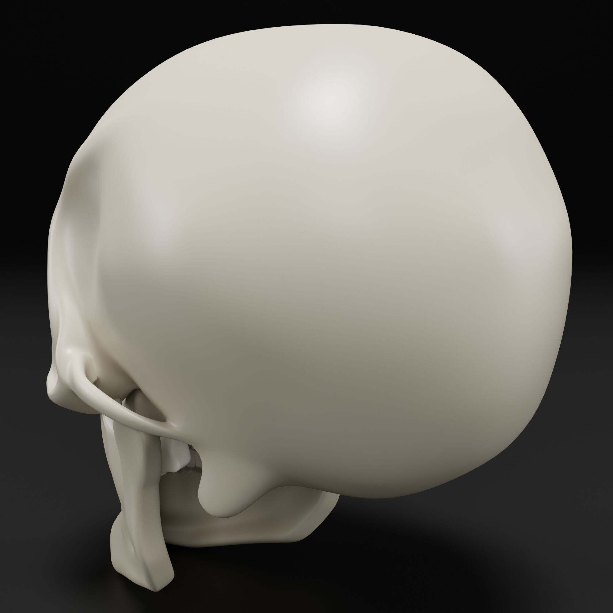 Human Skull 3D model_5