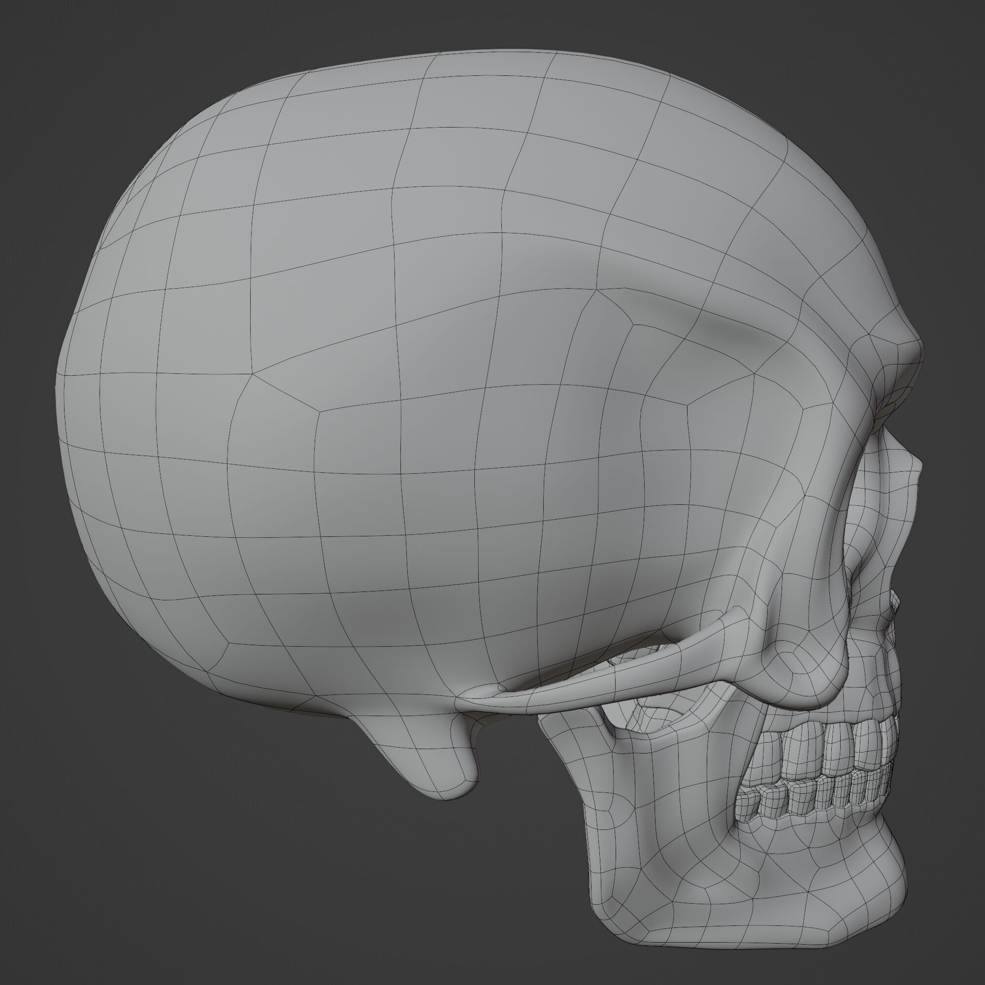 Human Skull 3D model_10