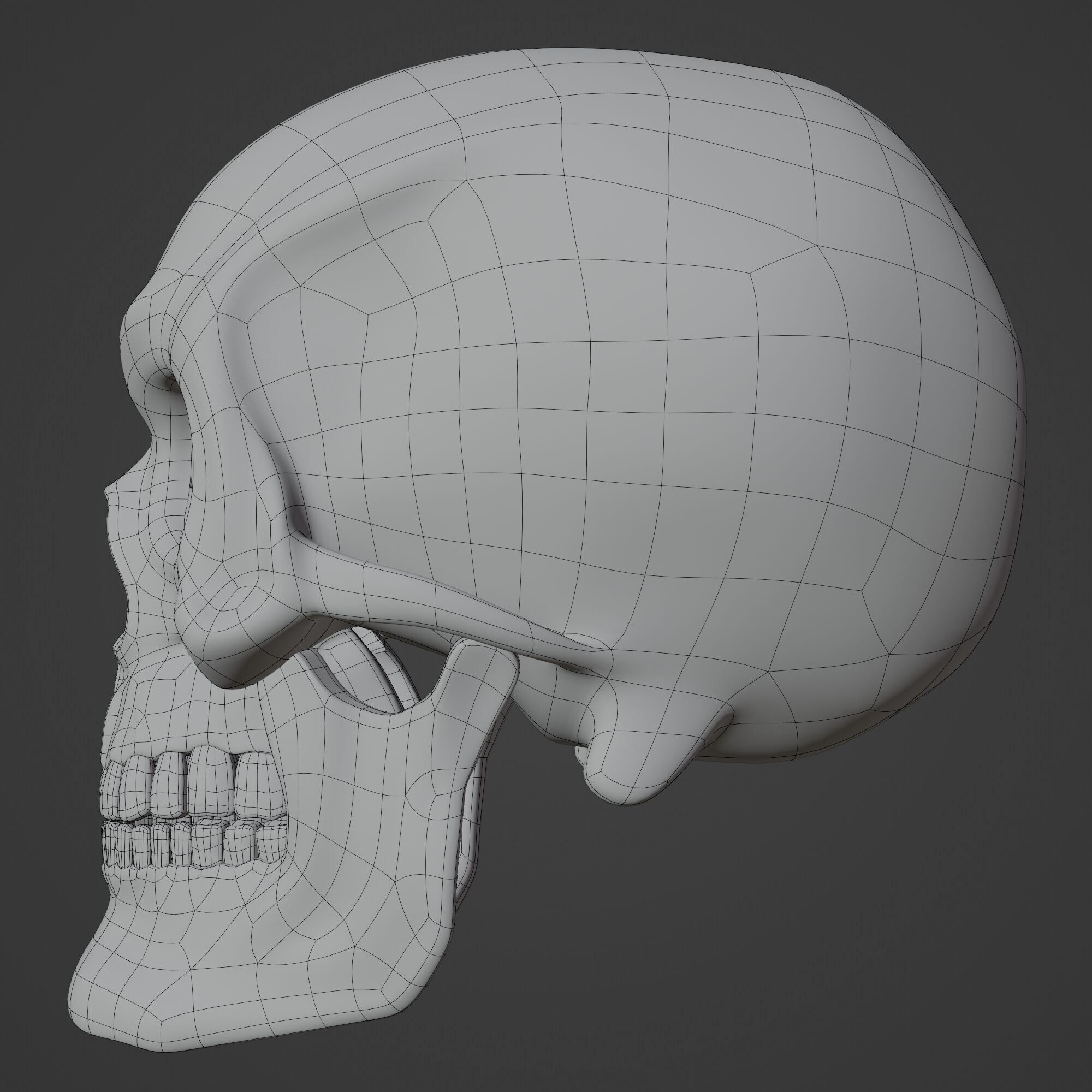 Human Skull 3D model_14