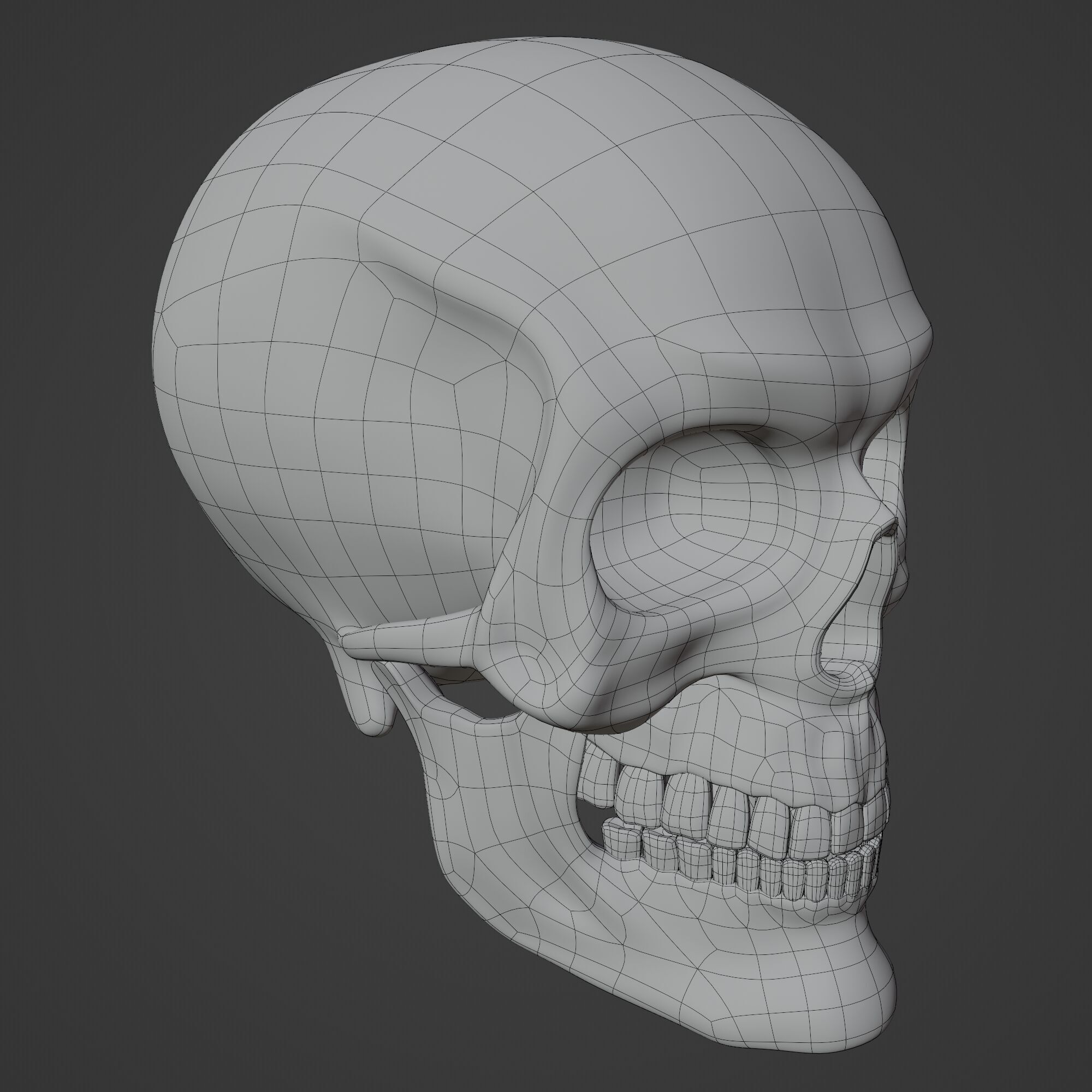 Human Skull 3D model_9