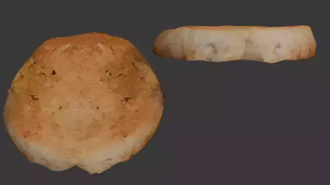 Celeriac Slice 3D Model 