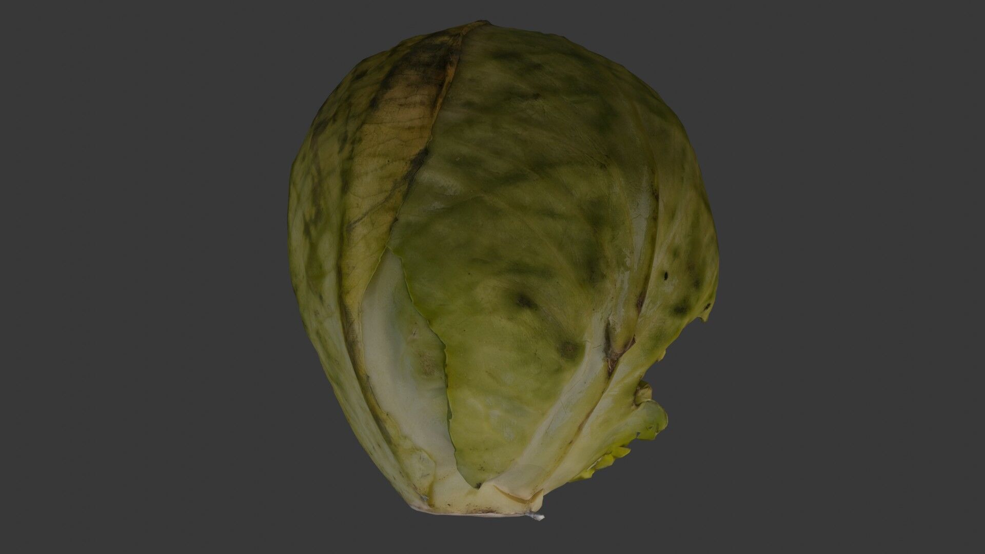 Green Cabbage 3D Model Low-poly 3D model_1