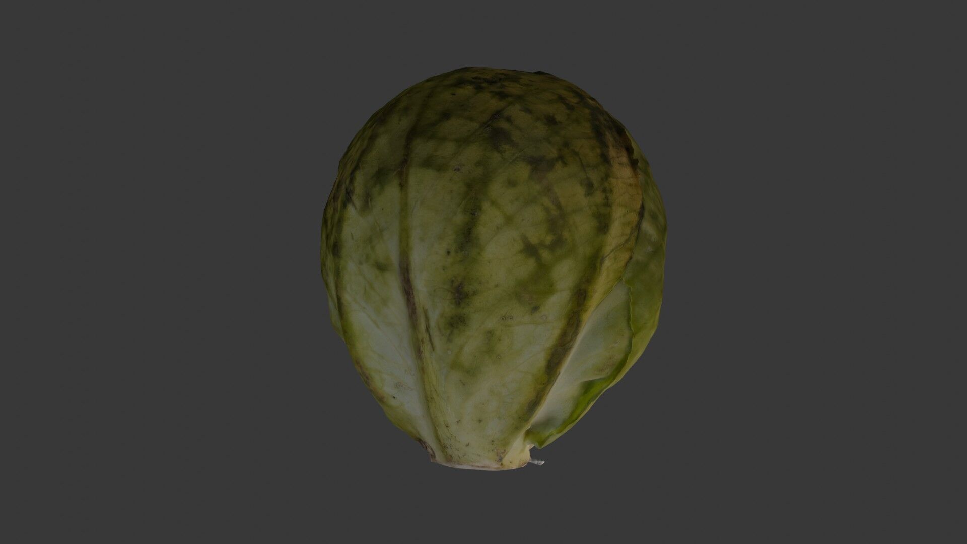 Green Cabbage 3D Model Low-poly 3D model_4