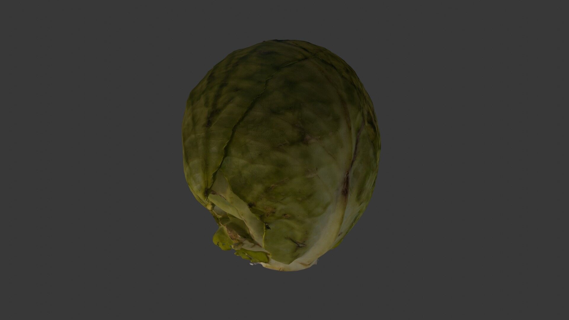 Green Cabbage 3D Model Low-poly 3D model_6