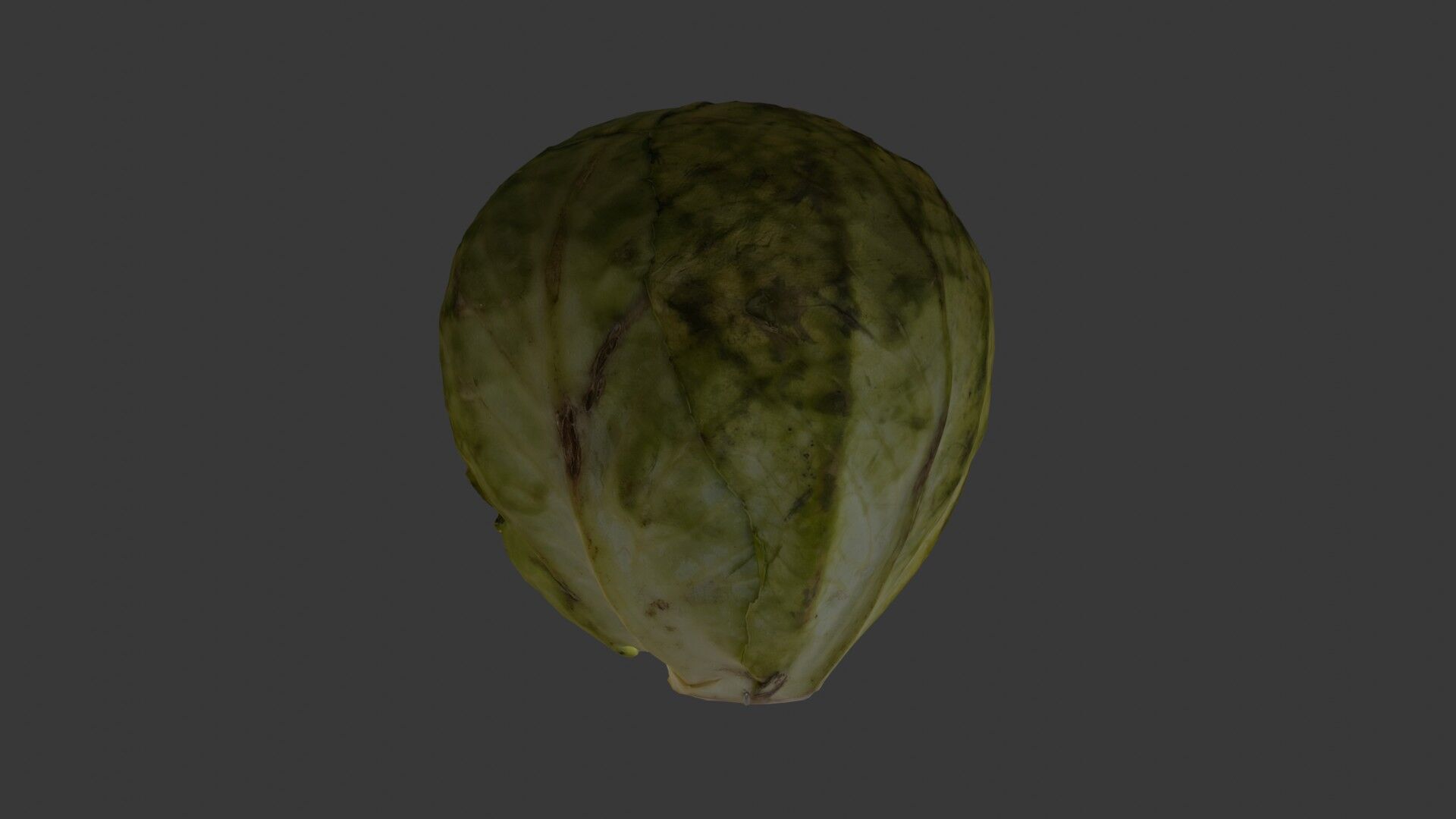 Green Cabbage 3D Model Low-poly 3D model_5