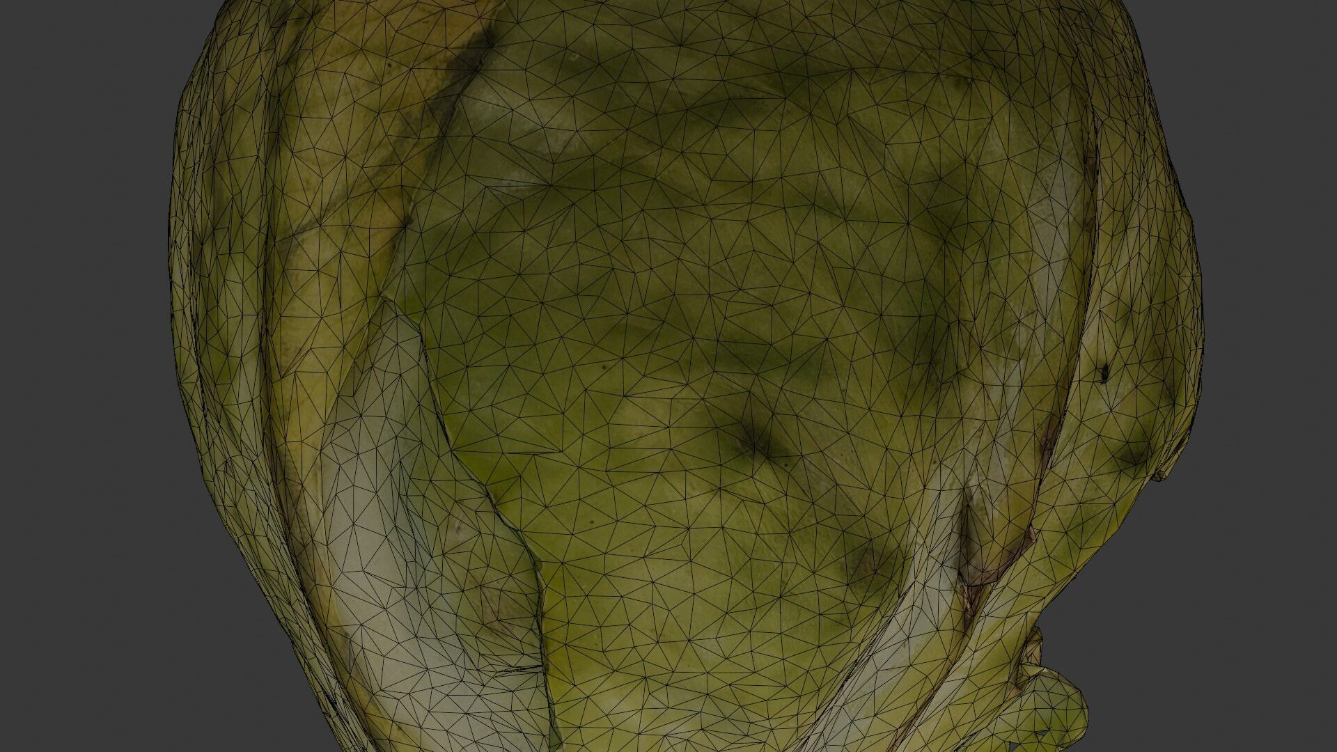 Green Cabbage 3D Model Low-poly 3D model_2