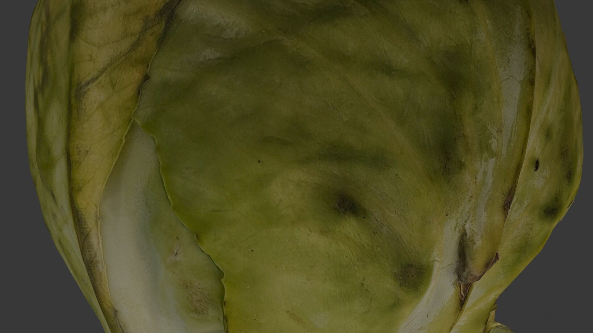 Green Cabbage 3D Model Low-poly 3D model_3