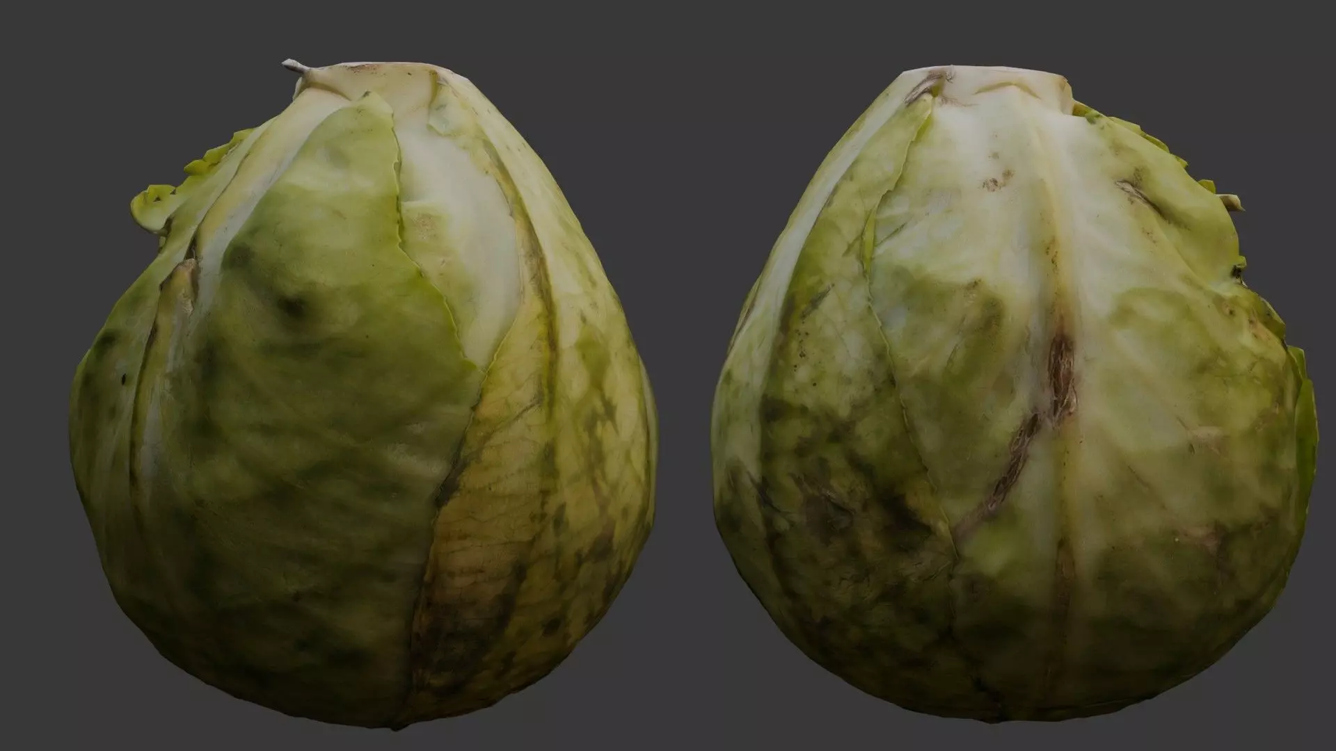 Green Cabbage 3D Model Low-poly 3D model_0