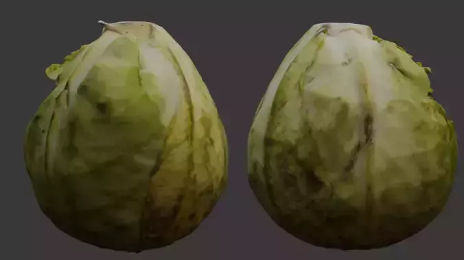 Green Cabbage 3D Model