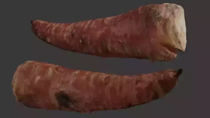 Red Root Vegetable 3D Model