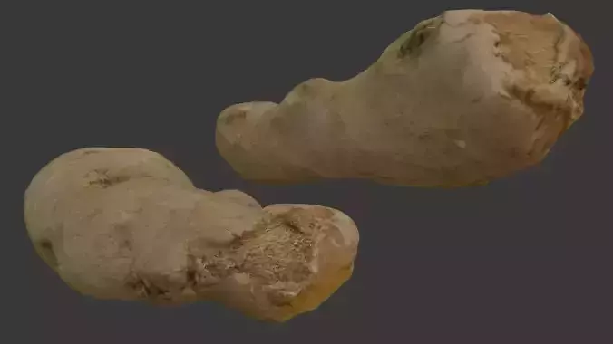 Ginger Root 3D Model