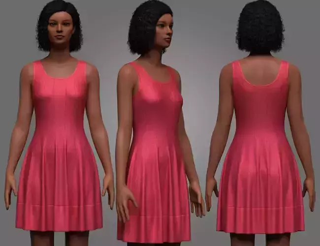 Female Fit and Flare Dress 