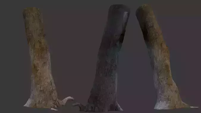 Tree Stump 3D Model 