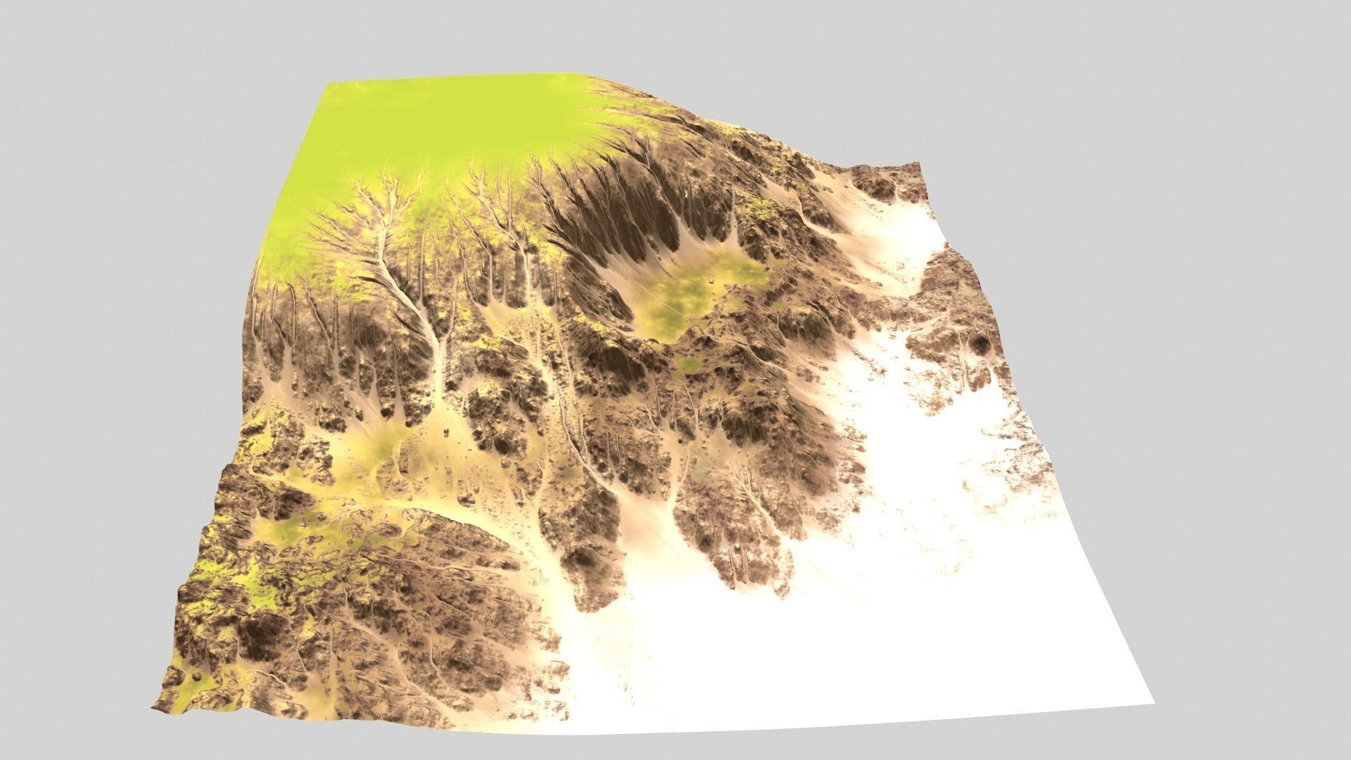 Terrain skirt with grass and trees 3D model_6