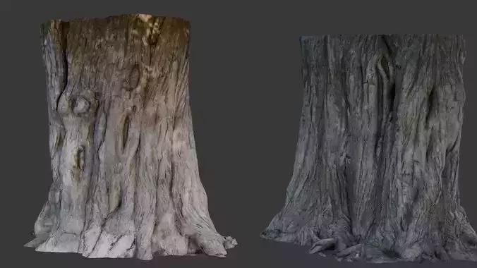 Large Tree Trunk 3D Model 