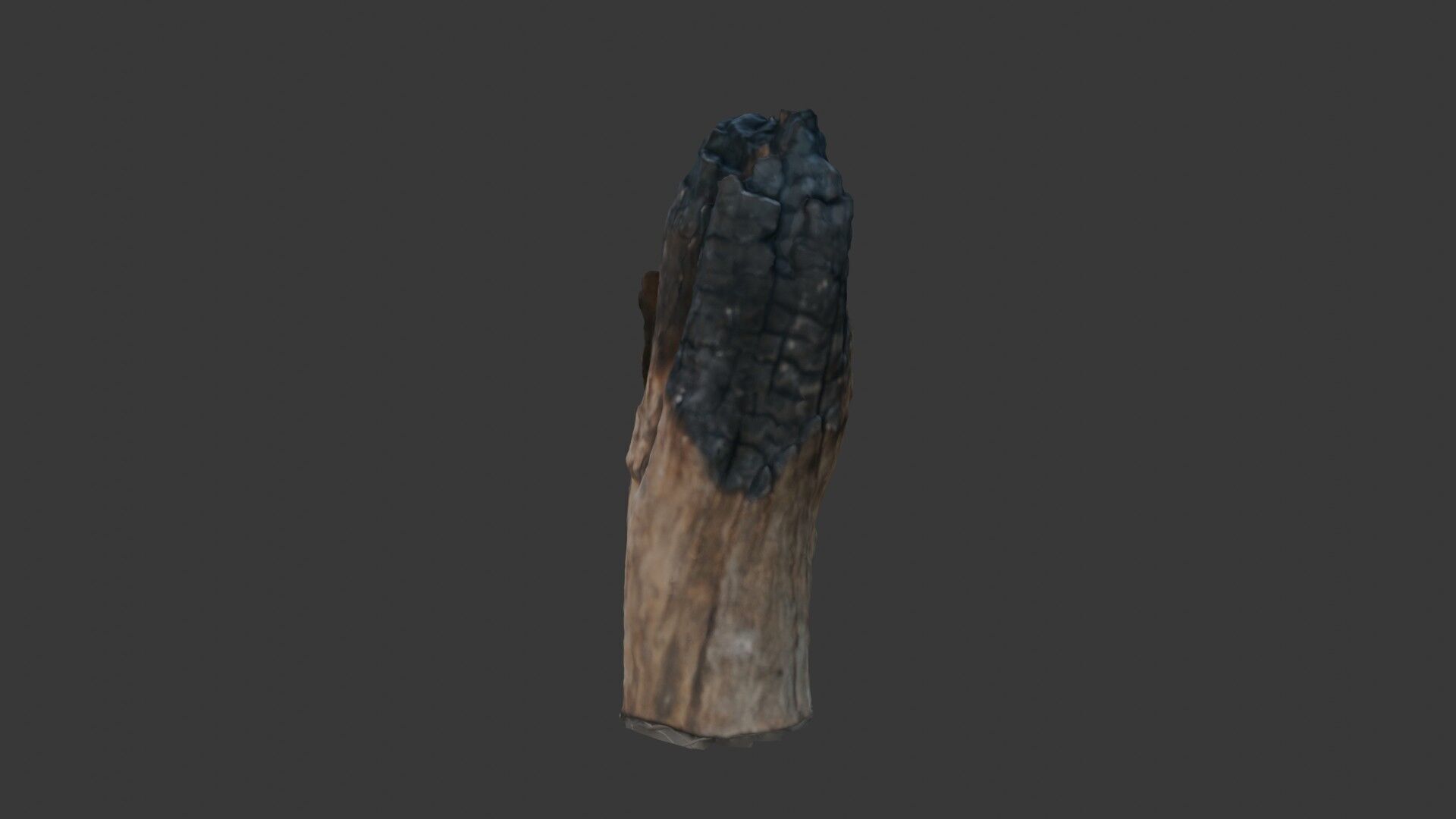 Charred Wood Stump 3D Model Low-poly 3D model_4