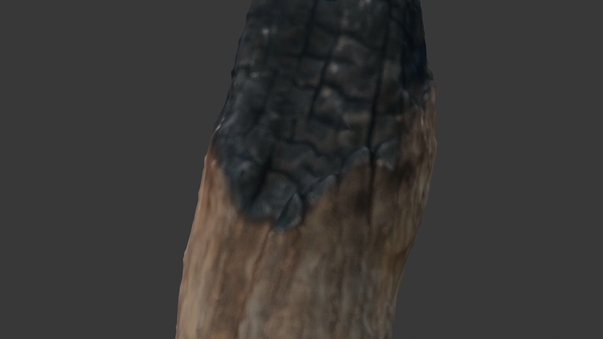 Charred Wood Stump 3D Model Low-poly 3D model_3