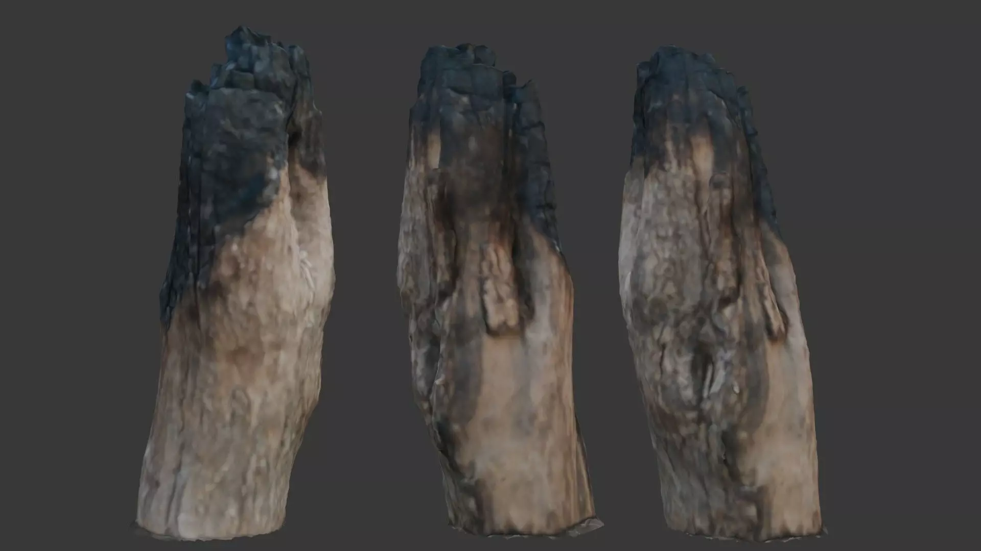 Charred Wood Stump 3D Model Low-poly 3D model_0