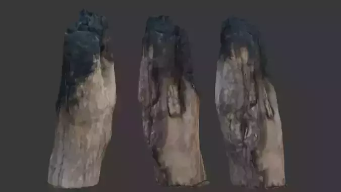 Charred Wood Stump 3D Model 