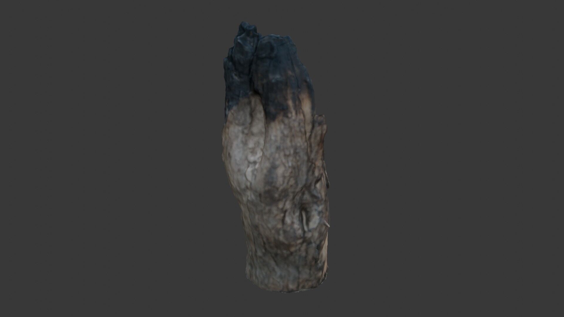 Charred Wood Stump 3D Model Low-poly 3D model_7