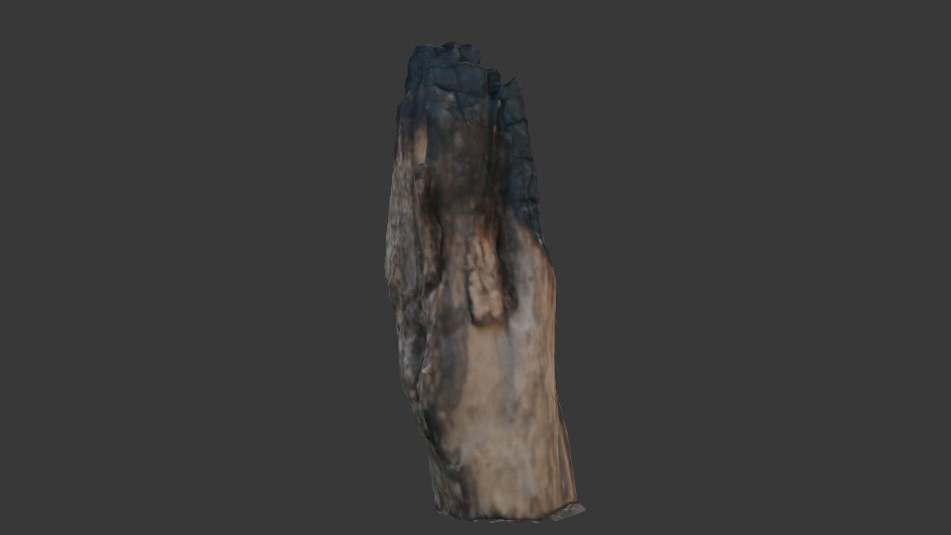 Charred Wood Stump 3D Model Low-poly 3D model_1