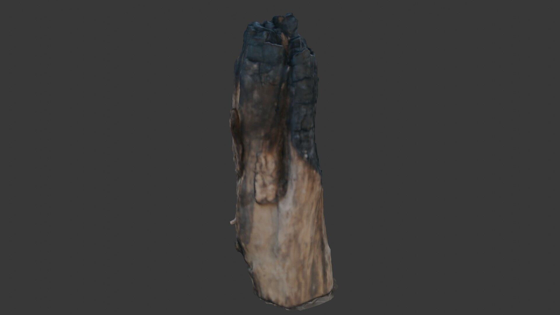 Charred Wood Stump 3D Model Low-poly 3D model_5