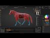 Spider horse for crossing animal animation blend file Low-poly 3D model_1