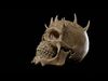 demon skull ready to print  3D print model_1