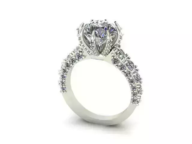 Engagement Ring With Many Round Diamond On It