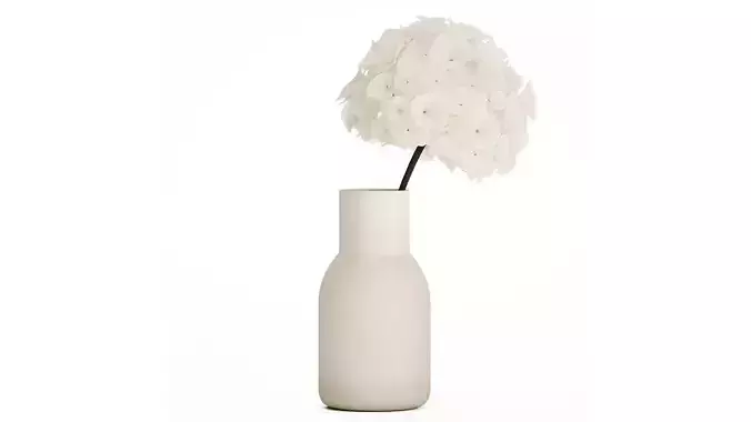 Bouquet Of White Flowers In A Vase Of Hydrangea 524