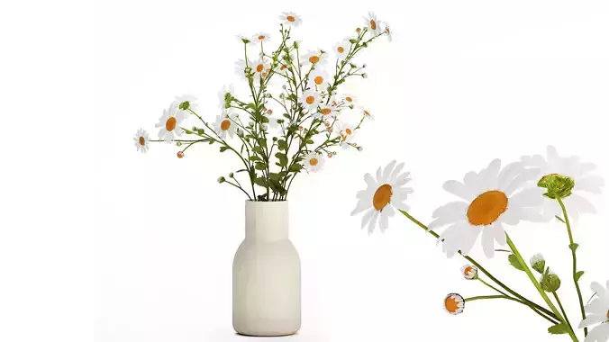White Flower Bouquet Branch Of Chamomile 525