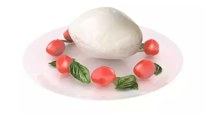 Plate of Mozzarella Cheese With Tomatoes 3D model