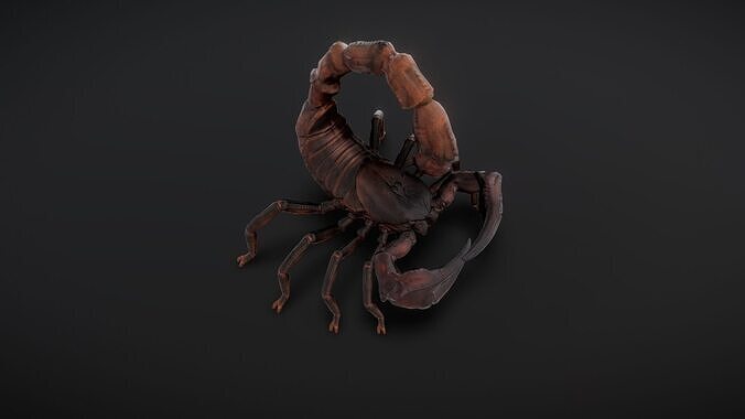 30 complete desert scorpion animations Low-poly 3D model