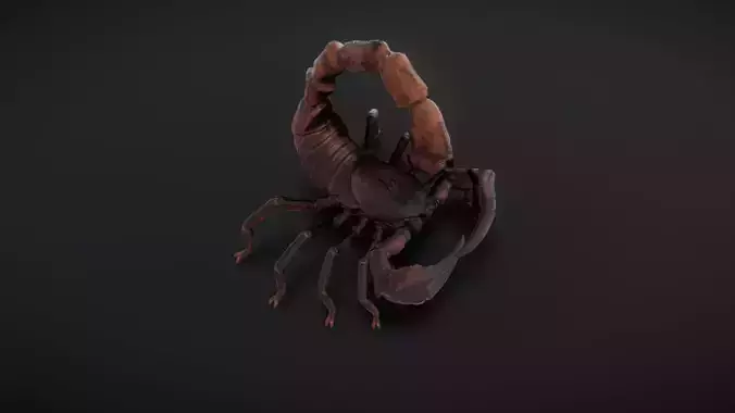 30 complete desert scorpion animations