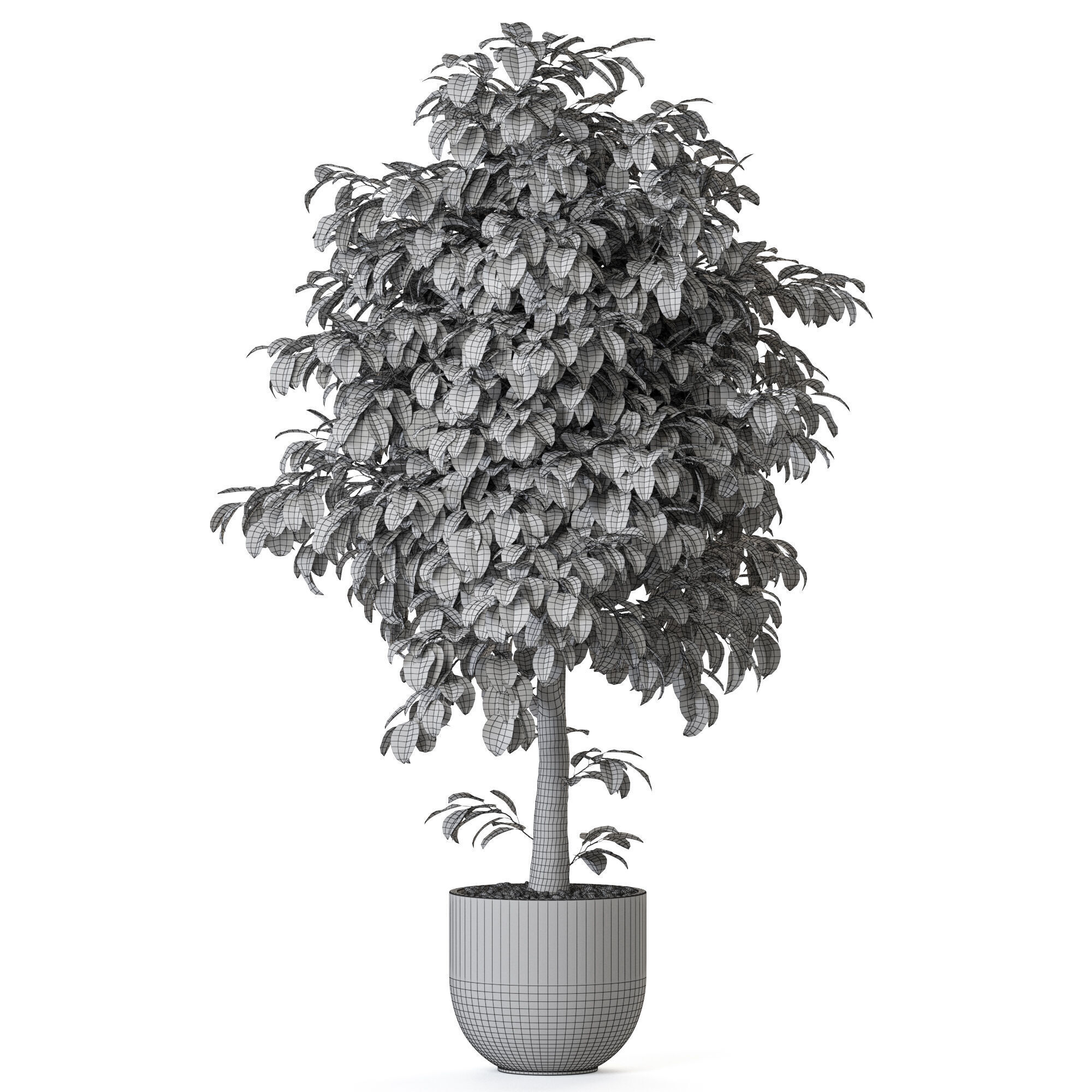 Plant 1201 3D model_4