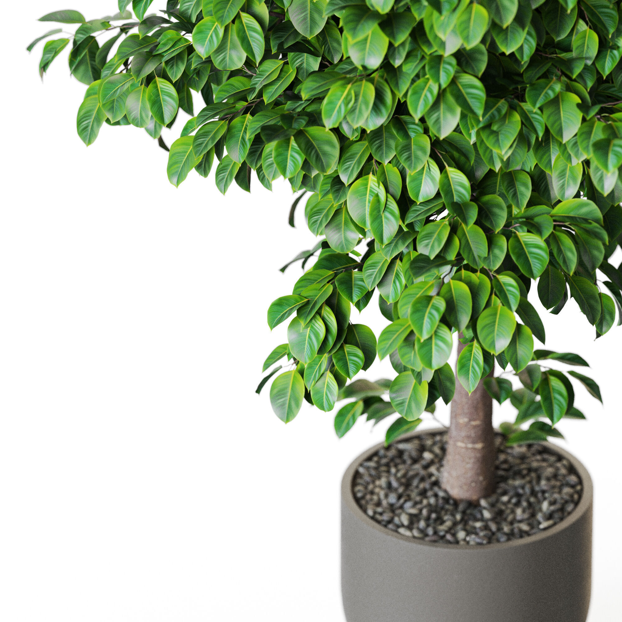 Plant 1201 3D model_2