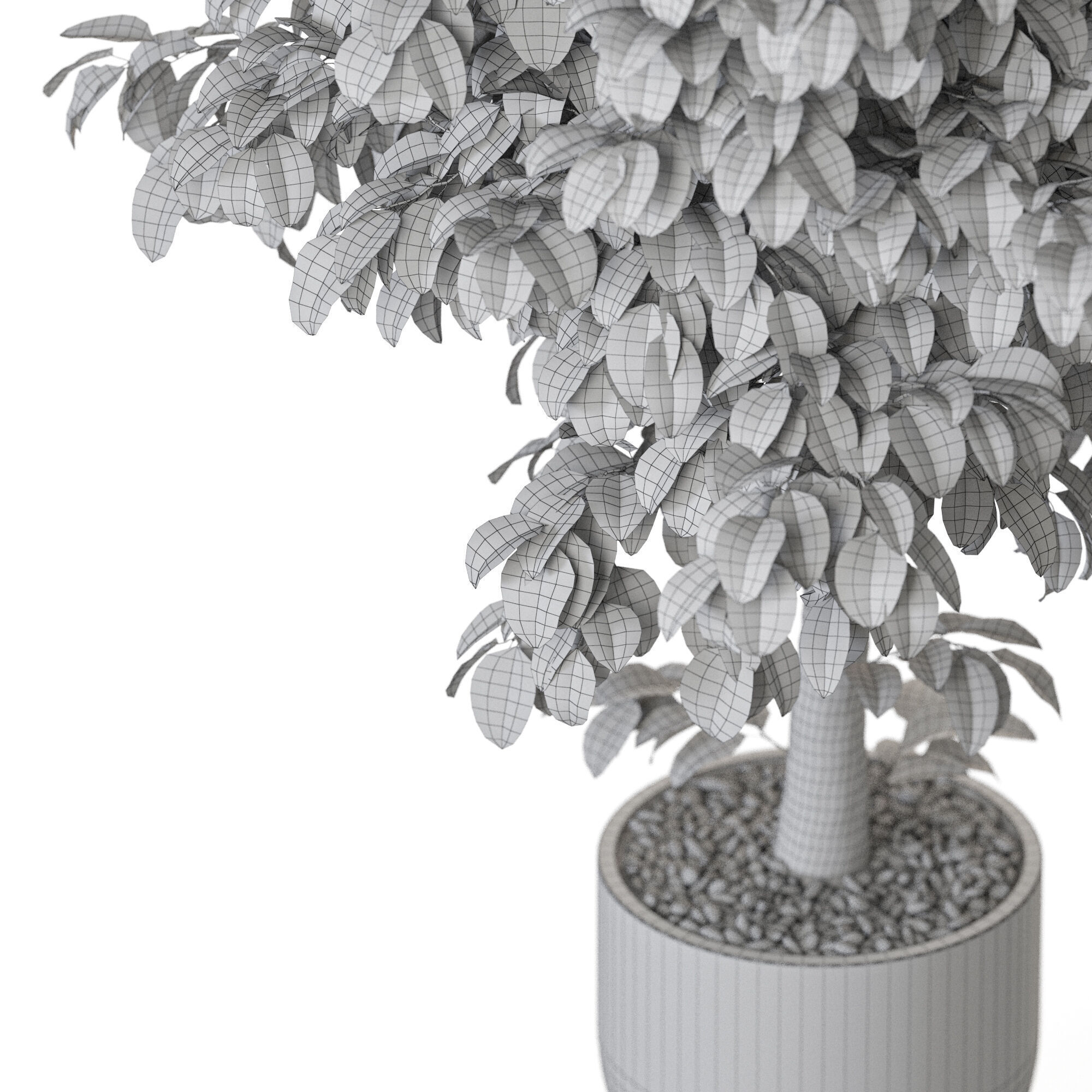 Plant 1201 3D model_5