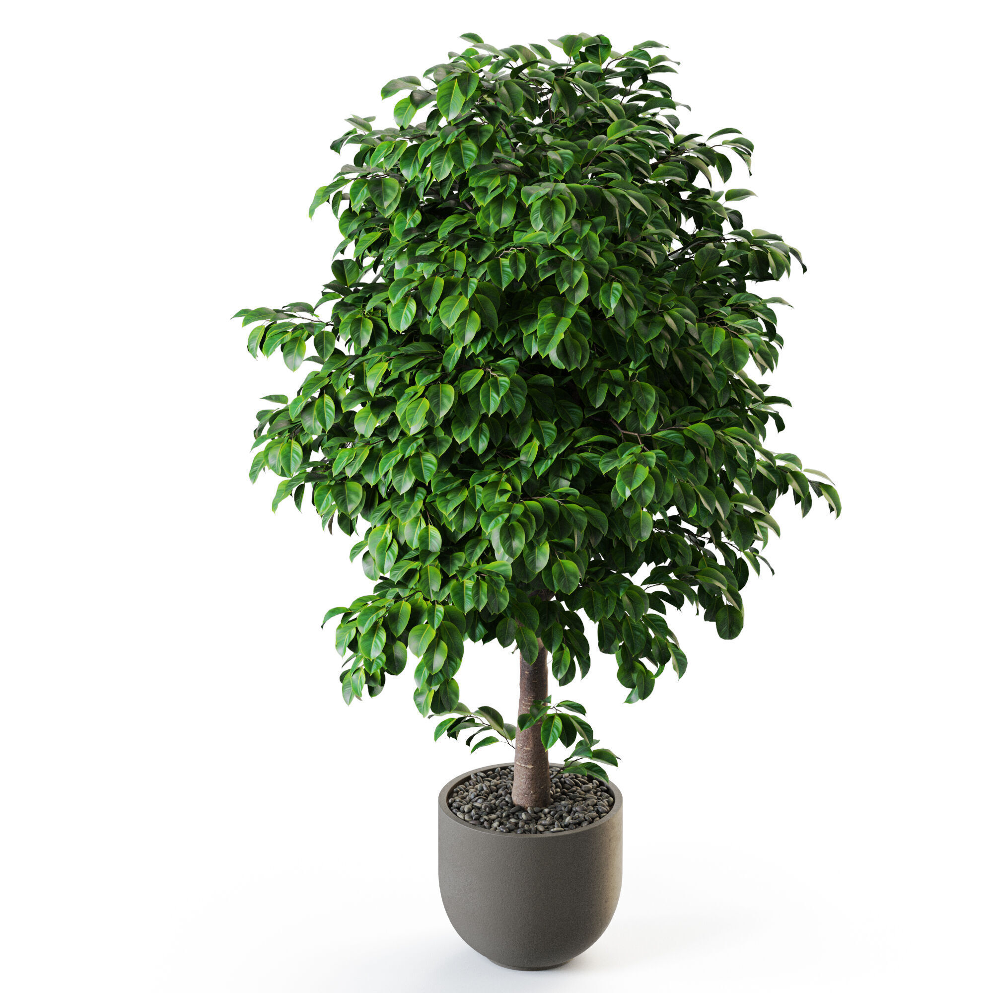 Plant 1201 3D model_3