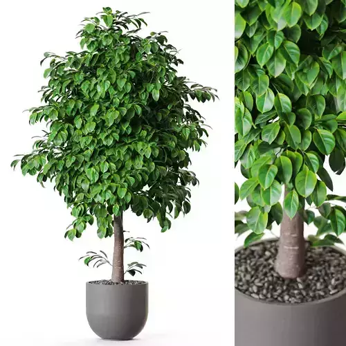 Plant 1201 3D model