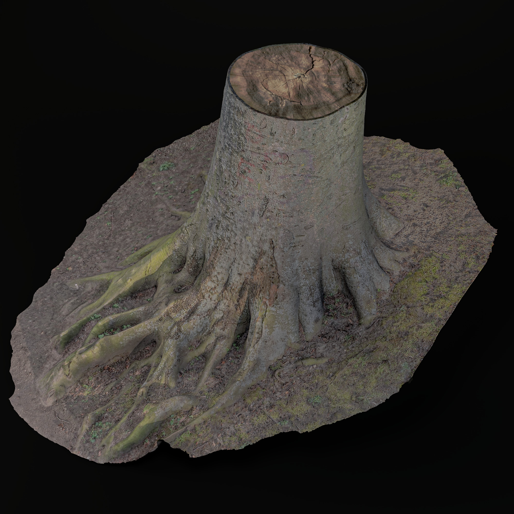 stump tree with roots Low-poly 3D model_2