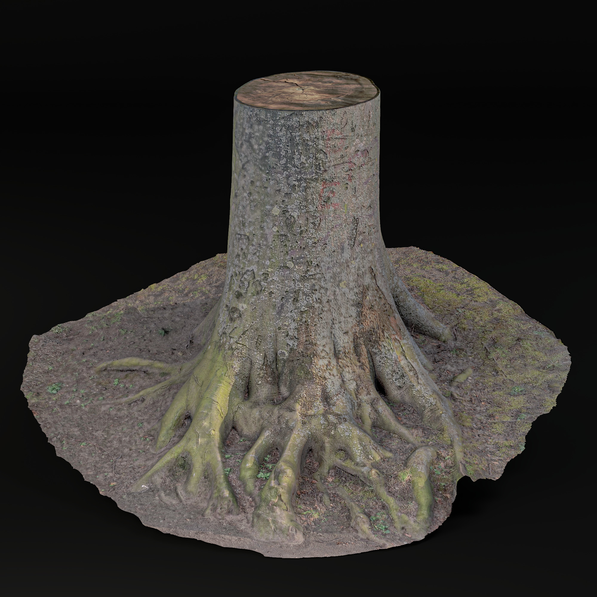 stump tree with roots Low-poly 3D model_1